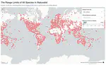 Range Limits of All Species in iNaturalist