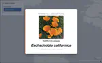 SF Biodiversity Game