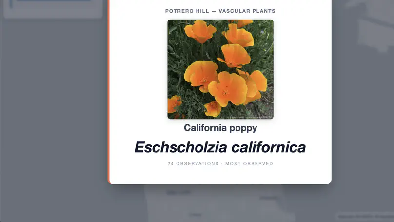 SF Biodiversity Game